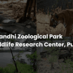 Rajiv Gandhi Zoological Park and Wildlife Research Center, Pune