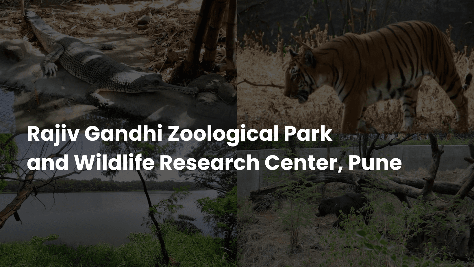 Rajiv Gandhi Zoological Park and Wildlife Research Center, Pune