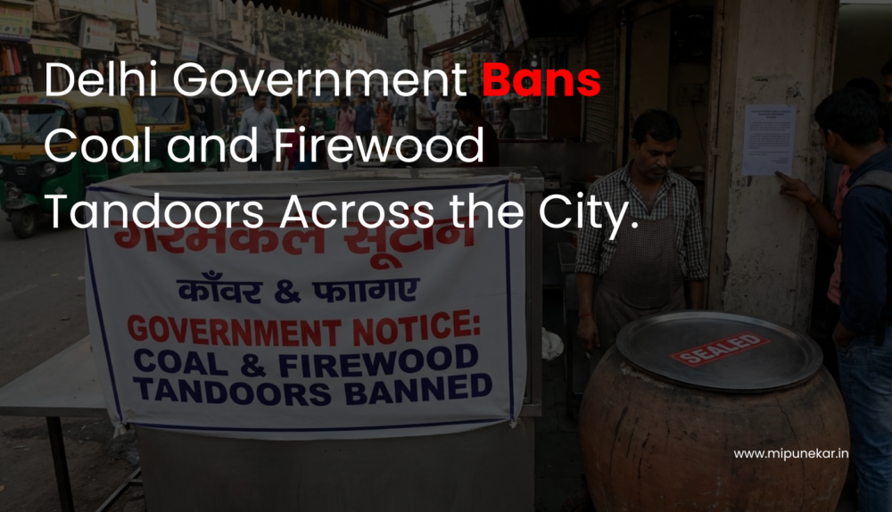 Delhi Government Bans Coal and Firewood Tandoors Across the City