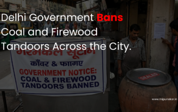 Delhi Government Bans Coal and Firewood Tandoors Across the City